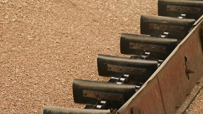 Closeup of the mechanism of wheat grain transportation machine under the open sky. Bread production and wheat extraction. Harvesting grain crops. The concept of agriculture and agro-complex