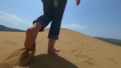 Des Pieds D Ours Marchant Dans Le Video De Stock 100 Libre De Droit Shutterstock