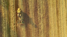 4k An old tractor cultivates a yellow field. Aerial video
