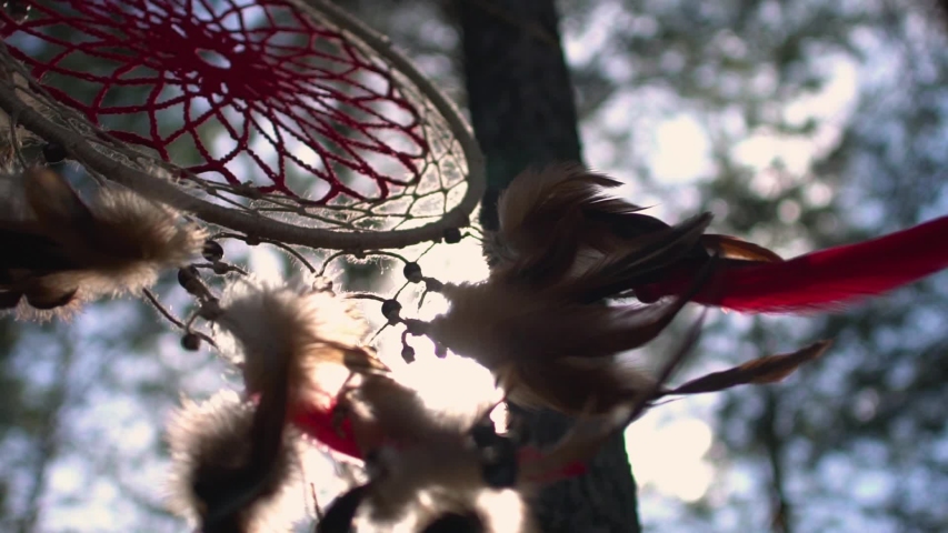 Dreamcatcher on a tree in the forest sways in the wind. Slow motion
