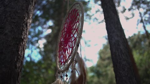 Dreamcatcher on a tree in the forest sways in the wind 