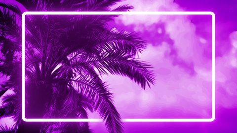 Palm Trees With Trendy Aesthetic Stock Footage Video 100 Royalty Free 1034903537 Shutterstock