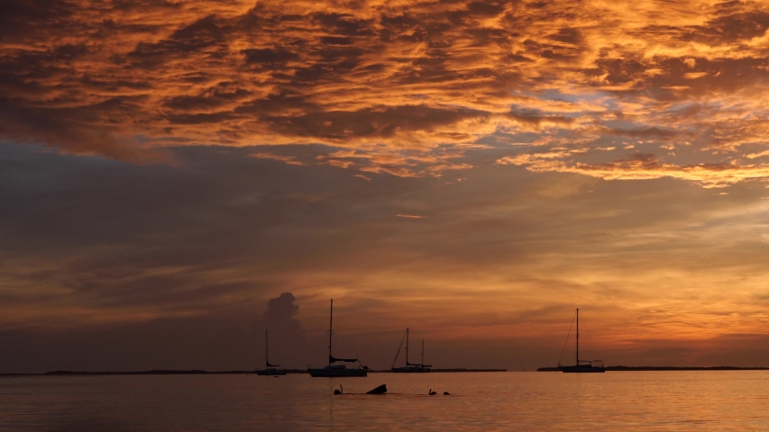 Wide open shot of some snorkelers in front of some boats while sunset between Key Largo and Key West in Florida, America.
