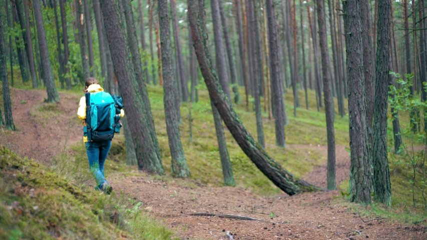 A happy woman in a bright yellow jacket with a tourist backpack walking at the autumn forest.