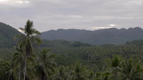 Palm trees and mountain ranges make-up to Tropical classical landscape of Siargao Island in the Philippines