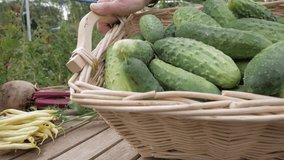 Female hands holding a wicker basket with cucumbers. Slider shot - Powered by Shutterstock - Get 15% off with code: PIKWIZARD15