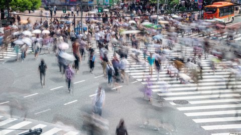 4K Timelapse high angle view wide shot cityscape crowded pedestrian people man and woman tourist walking crossing the street crosswalk with driving cars on the road in summer at Shibuya, Tokyo, Japan
