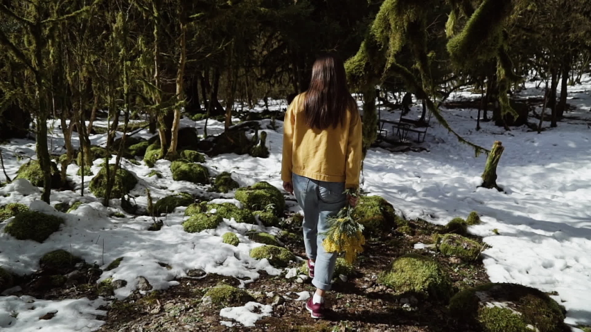 Girl in a yellow jacket with a bouquet of mimosa walks through the snow in the spring forest