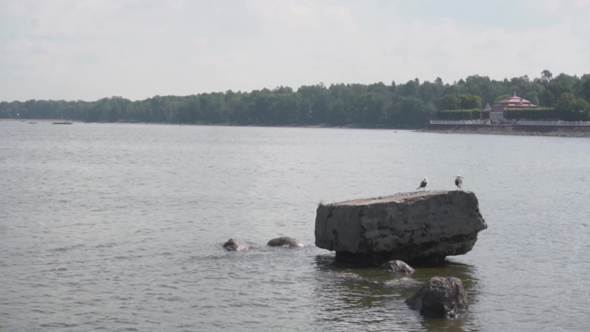 two seagulls are sitting on a huge stone near the shore