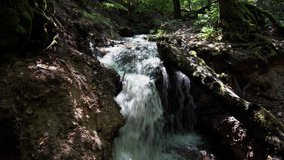 Lithuania, Vilnius - August 9, 2019: Powerfull forest waterfall in Vilsas river