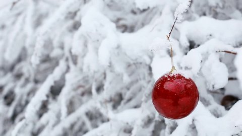 Red Christmas ball hanging on a snowy branch in the winter forest. Xmas and Happy New Year theme
