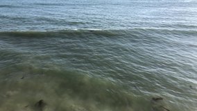 Slow Motion Clip. Daylight Sea Waves on the beach. Tilt down of waves hitting the beach with stones, filmed from a cliff.