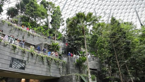 Changi Airport / Singapore - August 12th 2019: Changi Airport offer one of the most beautiful architecture with shopping malls and stunning indoor garden to all visitors.