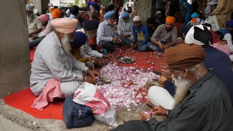 AMRITSAR, INDIA - MARCH 18, 2019: volunteers chopping onions for the kitchen at golden temple in amritsar, india- 4K 60p