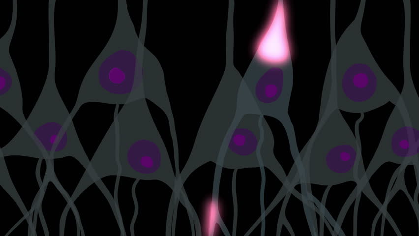 Synaptic Plasticity Stock Video Footage - 4K and HD Video Clips ...