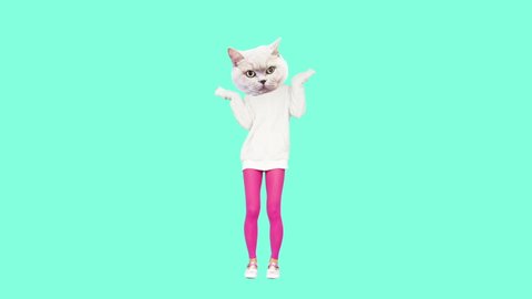 Gif animation design, Funny Kitty dancing in stylish white hoody