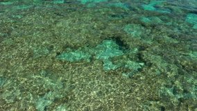 Aerial Drone Video of the caribbean coral barrier reef