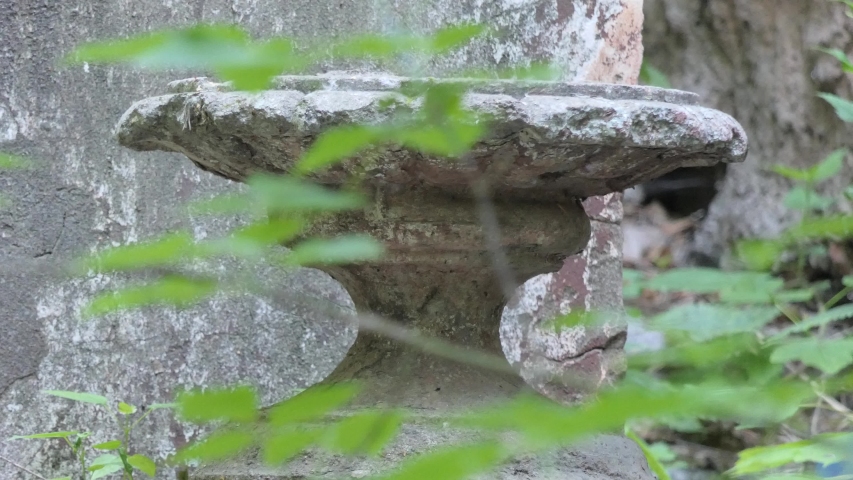 Part of the architectural decoration of the staircase in the old state . Siberia.