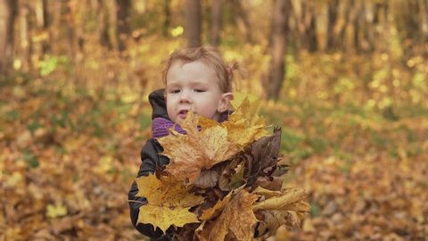 Little girl throw autumn leaves in autumn park in slow motion. Medium shot of child playing outdoors 스톡 비디오
