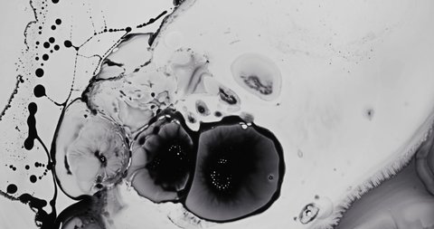 Black and White liquid ink / paint drop stain on white paper background / paint bleed Bloom, with circle organic flow expansion, splatter spreading on pure backdrop texture \ petri dish