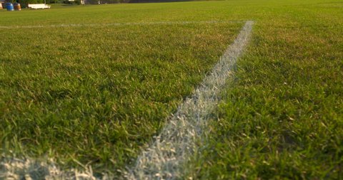 An early morning close up of the white lines on a soccer pitch.