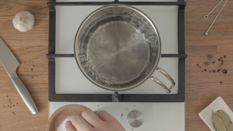 Person takes pinch of salt and put it in boiling water in metal pan on gas stove