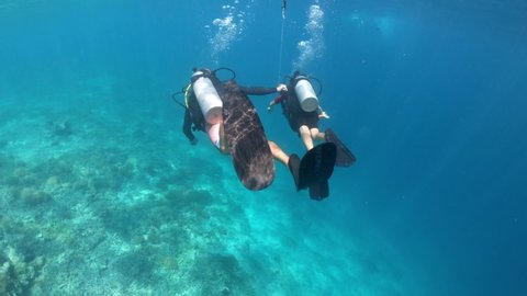 GILI AIR, BALI - AUG 02 2019:Child girl (Talya Ben-Ari age 09) doing a scuba diving course in Gili Islands a world renown diving near Bali and Lombok Islands Indonesia. 