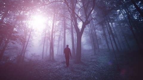 Surreal Light Dark Forest Man Silhouette Stock Photo 400682395 ...