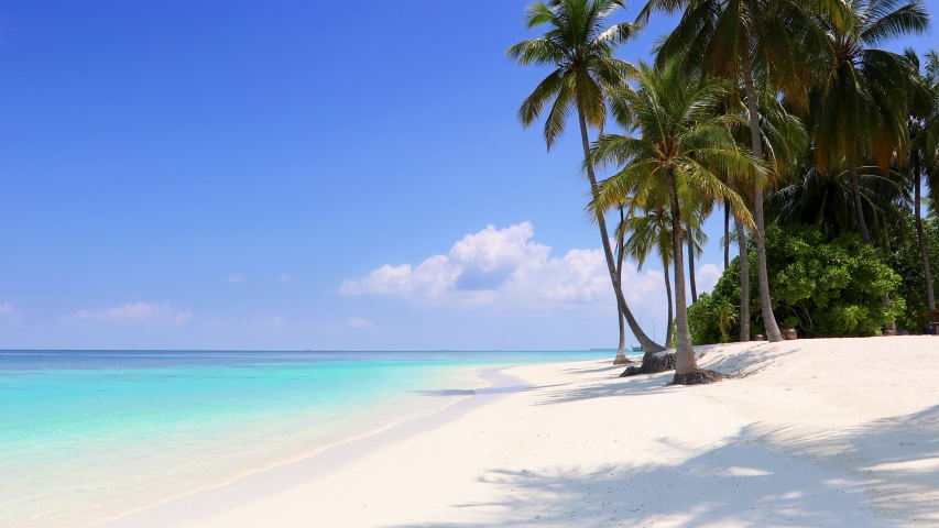 Panoramic of the beach and ocean in the Maldives image - Free stock ...