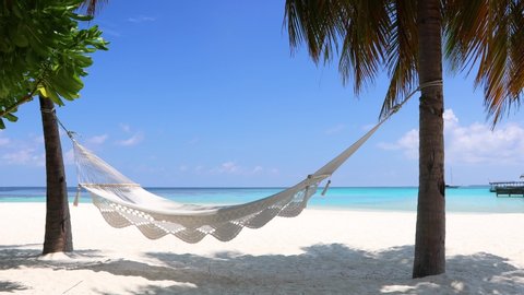 Empty, swingin hammock in the wind on a tropical beach landscape with palm trees and turquoise sea in the Maldives