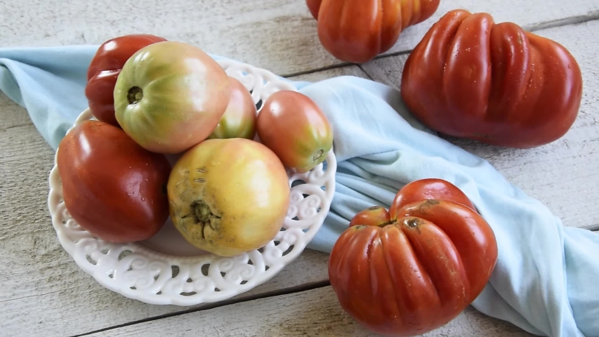 Raw ripe graden tomatoes on wooden background. Vegetarian ingredients, seasonal produce
