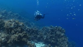 Scuba diver swimming with camera in deep ocean. Corals, fish and scuba photographer exploring sea. Underwater video from scuba diving on coral reef. Tropical seascape.