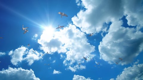Seagulls flying against beautiful blue sky, 4K