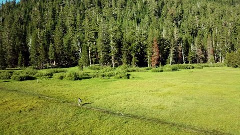 Cinematic Drone Footage of a high elevation creek snaking through a meadow in the Sierra Nevada, California
