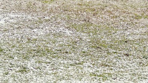 4K Snowing onto Grass in Winter fast shutter 4K 3840x2160 ultra high definition