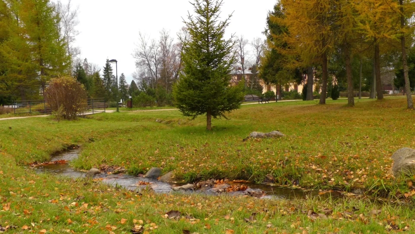 beautiful girl in a red jacket jumps over a small stream in the autumn city park