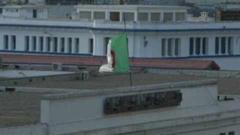 Algeria flag waving in streets