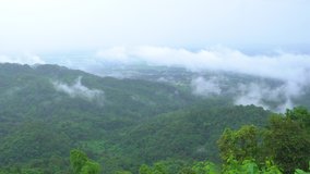 4K video of Chaing Rai city and fresh green woods, tree in the tropical rain forest and the hill, mountain with foggy misty atmosphere (cloudy sky in rainy season) in Doi Tung, Chaing Rai, Thailand.