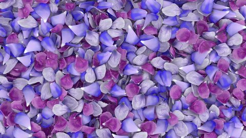 3D animation of a flower petals flow with alpha layer Stock-video