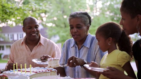 Extended family celebrating at picnic with cake