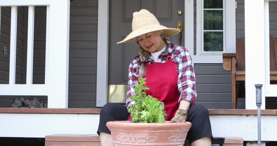 Smiling Caucasian woman tamping soil around freshly potted lettuces