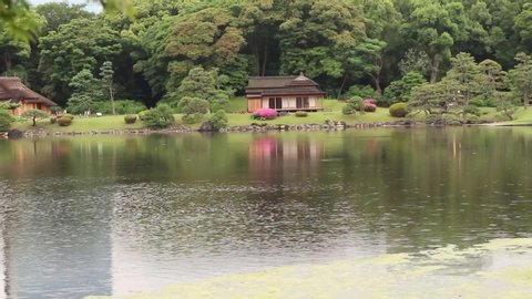 Park in Tokyo Japan, green plant nice view , tree near lake and traditional Japanese house.