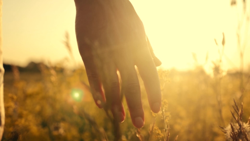 Girl On the Sunset is 스톡 동영상 비디오(100% 로열티 프리) 1035196532 | Shutterstock