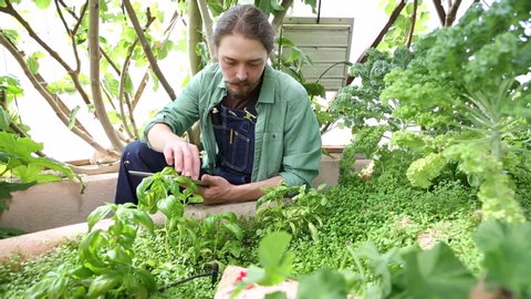 Caucasian gardener using digital tablet