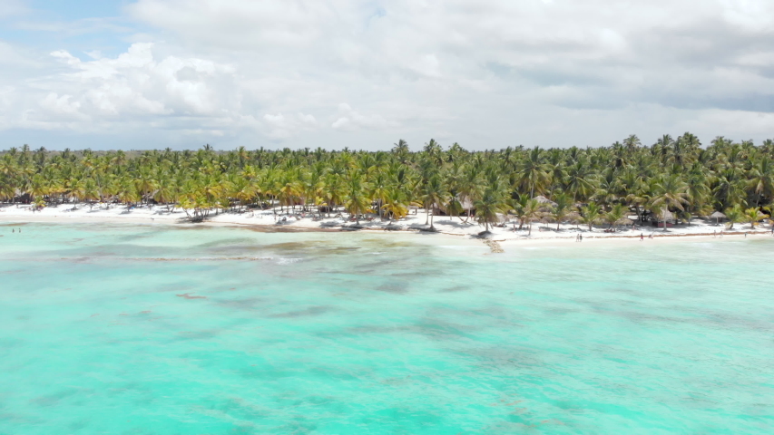 Aerial flight towards a beautiful beach covered with tropical palm trees on the island of Saona, Dominican Republic