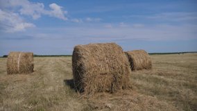 agriculture farming concept slow motion video. haystacks on wheat field under the beautiful blue cloudy sky. Agriculture field with sky. Rural nature in the farm land. Straw on the meadow. Wheat