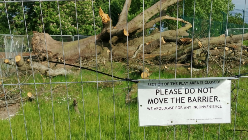 Fallen tree with a notice, in a park