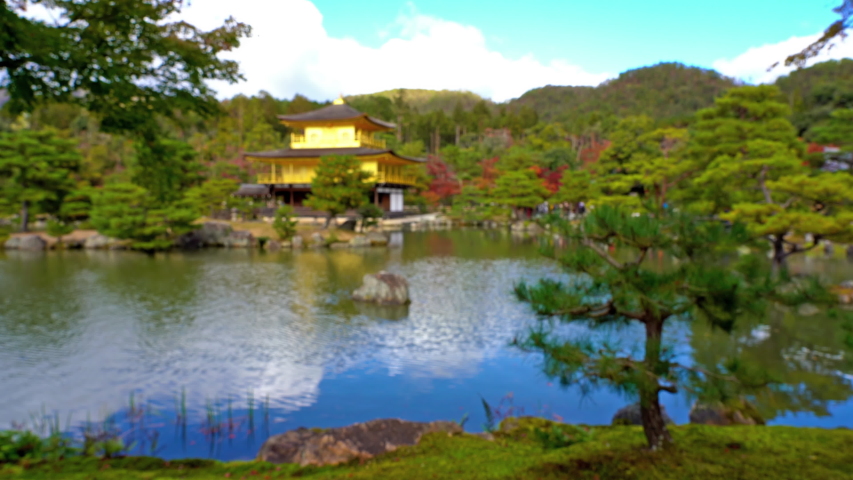 Pull focus shot of the colorful paradise looking Kinkakuji Temple Golden Pavilion in Kyoto Japan