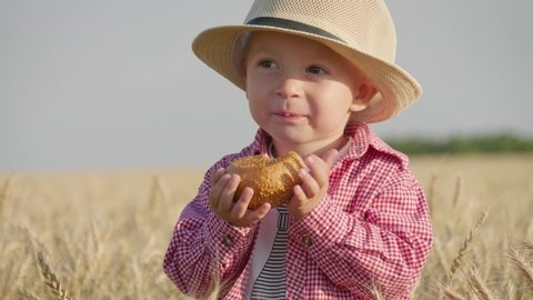 Happy little toddler in hat eats bread while standing in wheat field at sunset. Summer country life and agriculture concept.