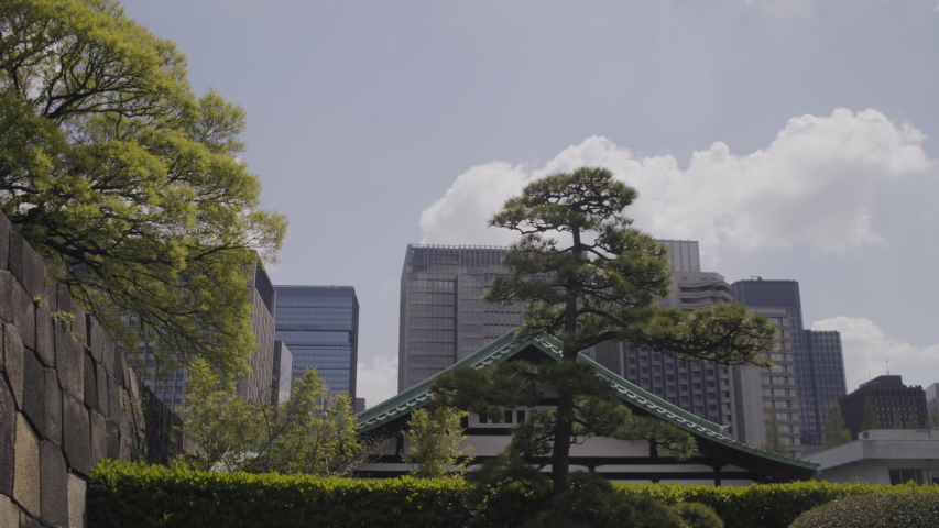 Tokyo, Japan - Skyscrapers visible from East Gardens of the Imperial Palace during sunny day